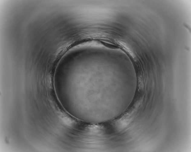 X0000094420453200711081140