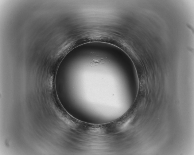 X0000094420454200711081140