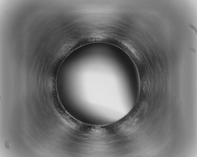 X0000094420455200711081140