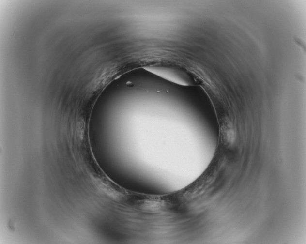 X0000094420458200711081140