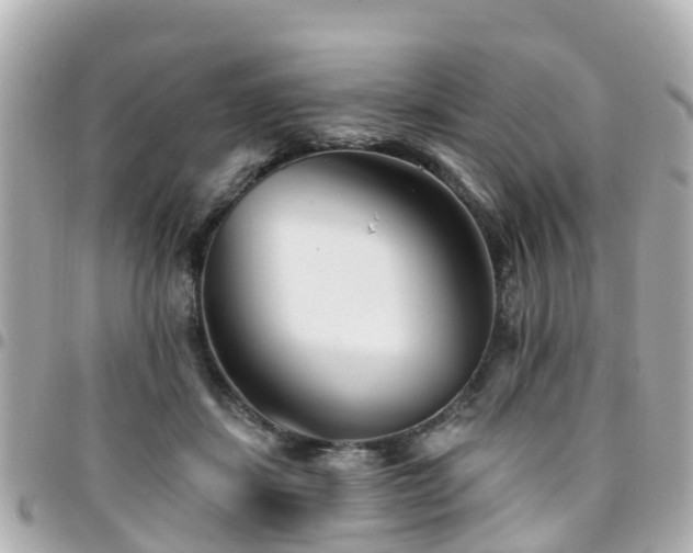 X0000094420459200711081140