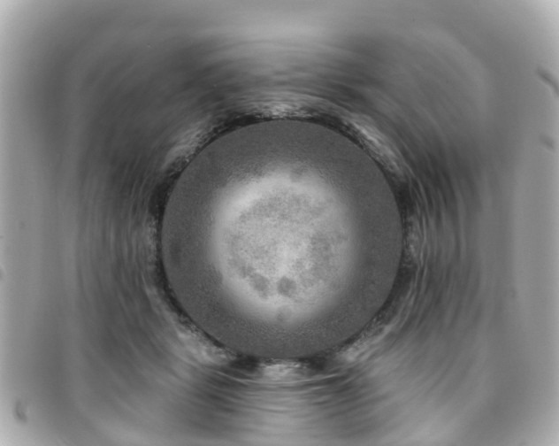 X0000094420461200711081140