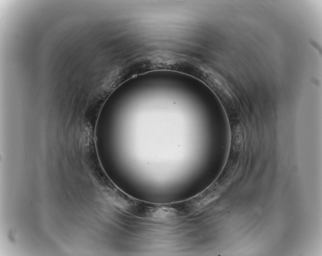 X0000094420463200711081140