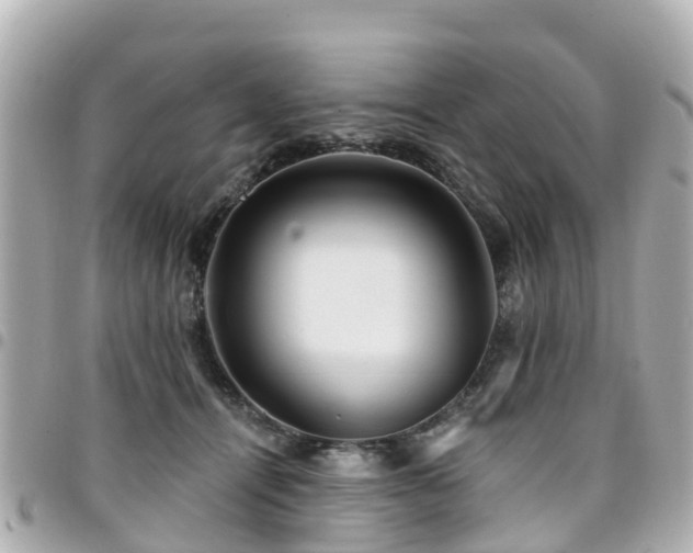 X0000094420464200711081140