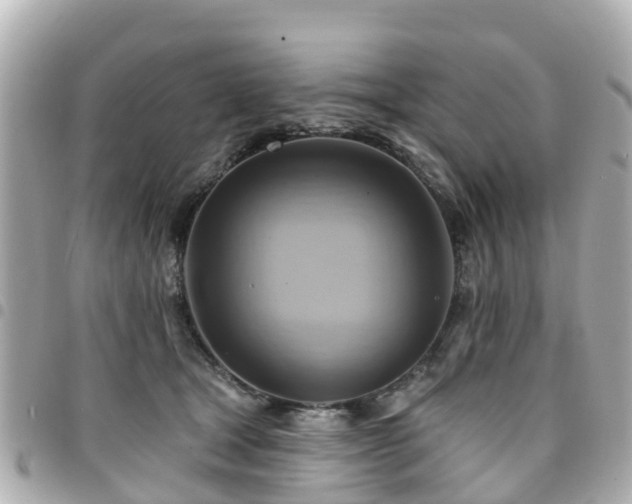X0000094420465200711081140