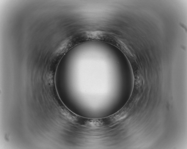 X0000094420466200711081140