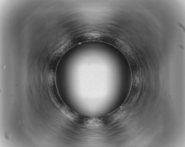 X0000094420468200711081140