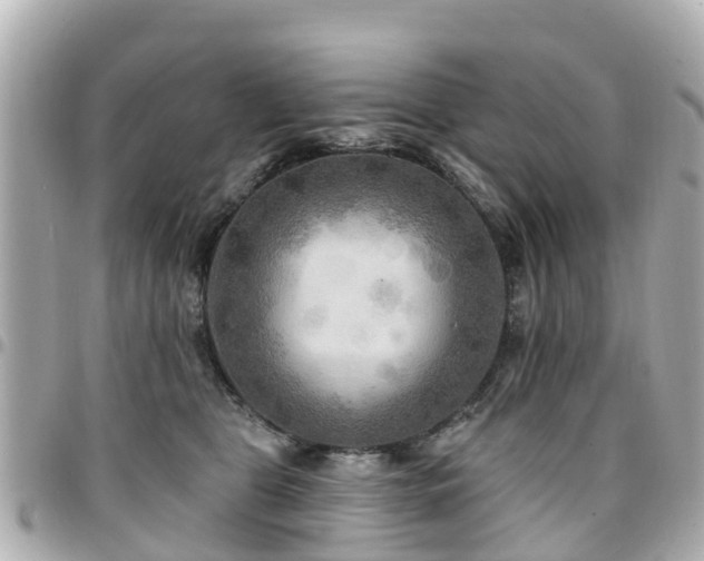 X0000094420469200711081140