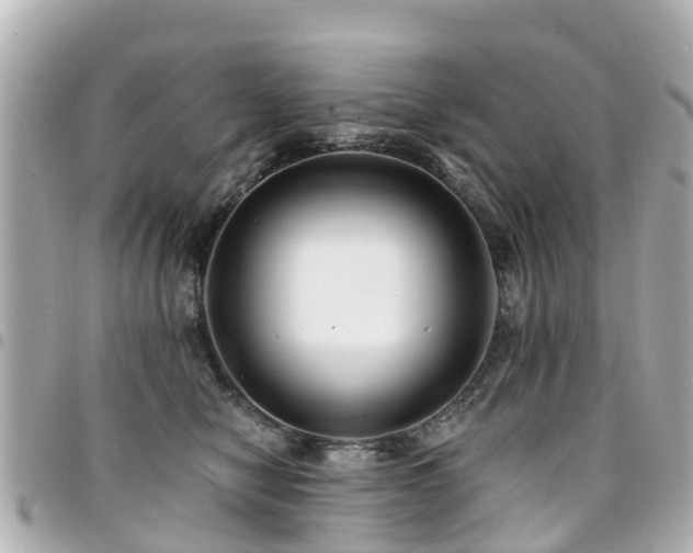 X0000094420470200711081140