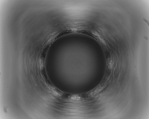 X0000094420471200711081140