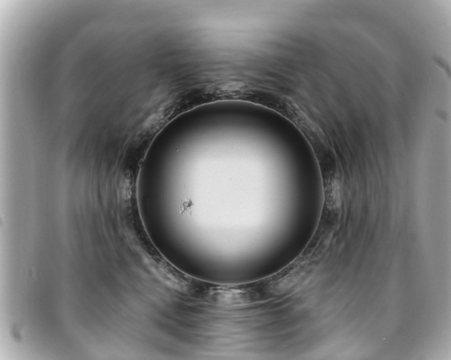 X0000094420472200711081140