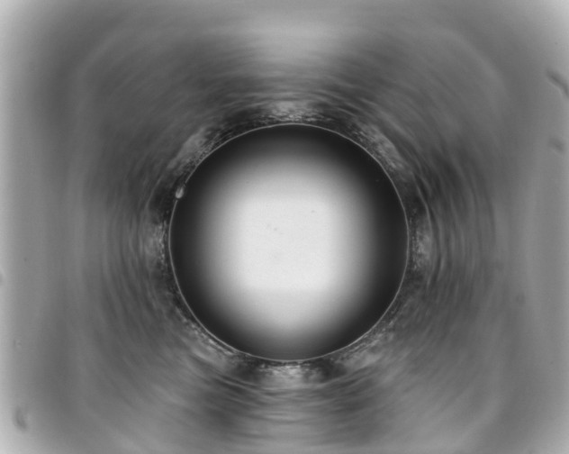 X0000094420473200711081140