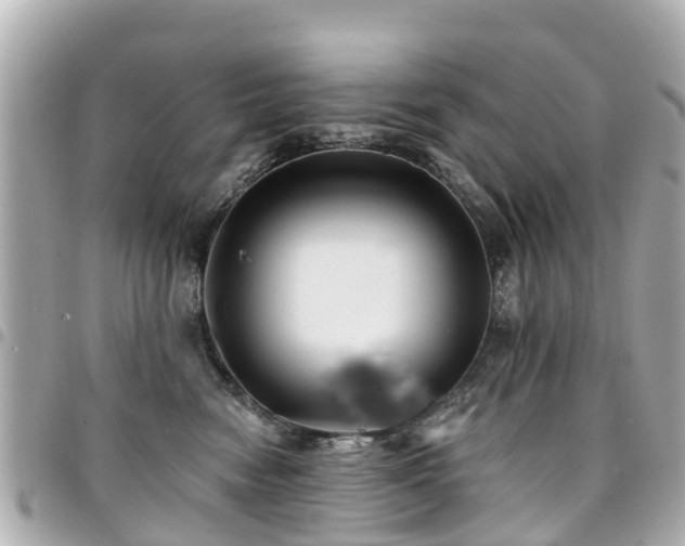 X0000094420474200711081140