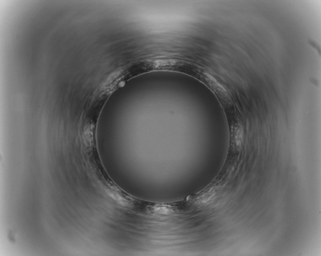 X0000094420475200711081140