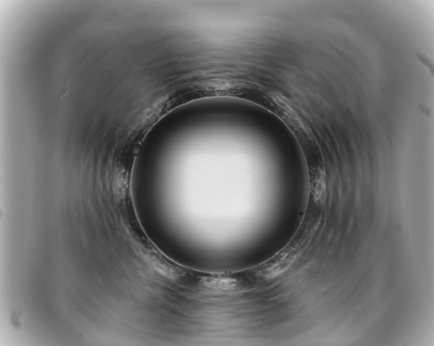 X0000094420476200711081140