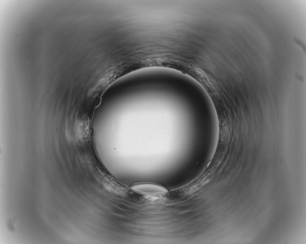 X0000094420477200711081140