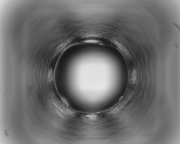 X0000094420478200711081140