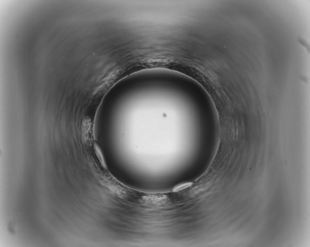 X0000094420480200711081140