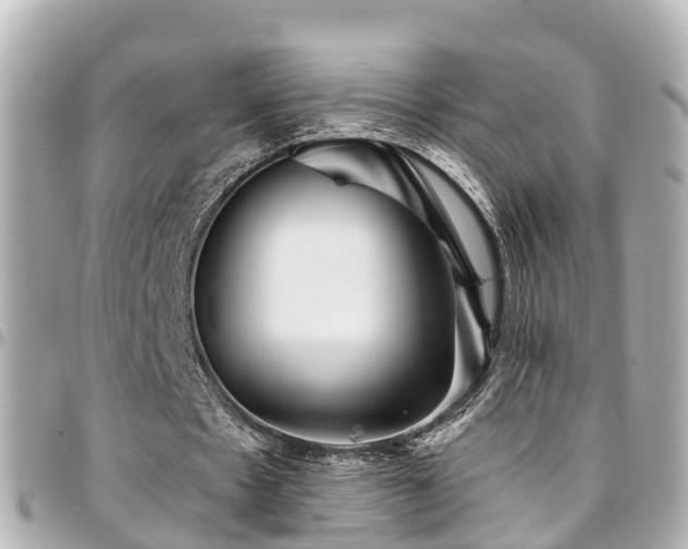 X0000094420481200711081140