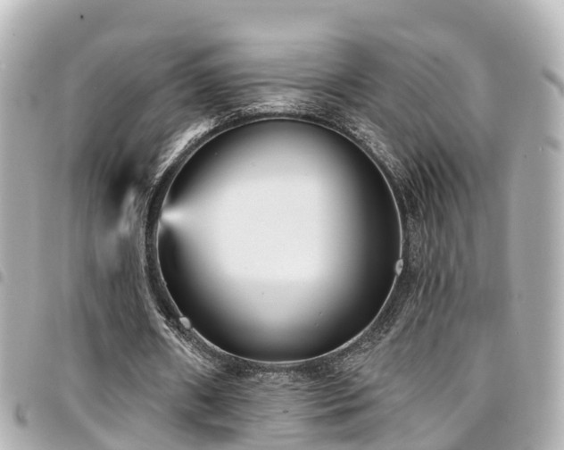 X0000094420482200711081140