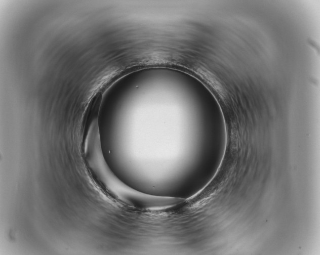 X0000094420485200711081140