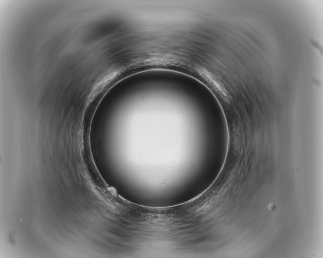 X0000094420486200711081140