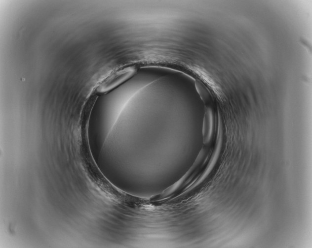 X0000094420488200711081140