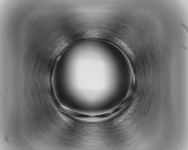 X0000094420489200711081140
