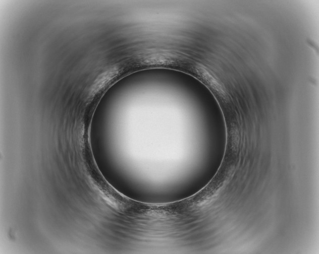 X0000094420490200711081140