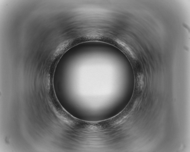 X0000094420494200711081140