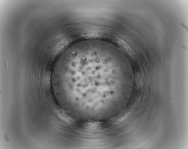 X0000094420495200711081140