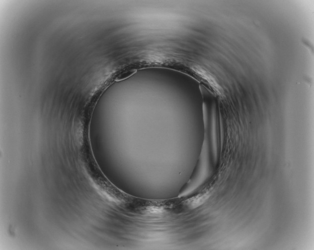 X0000094420496200711081140
