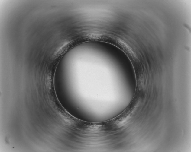 X0000094420497200711081140