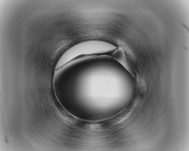 X0000094420501200711081140