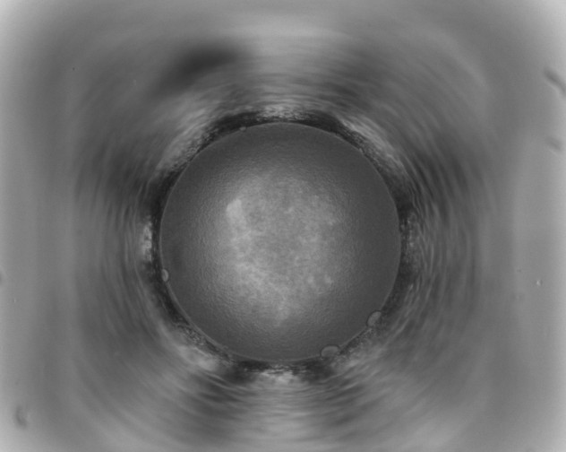 X0000094420502200711081139