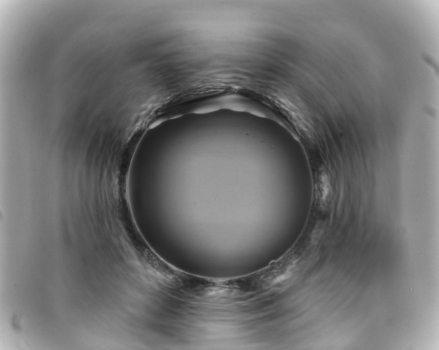 X0000094420504200711081139