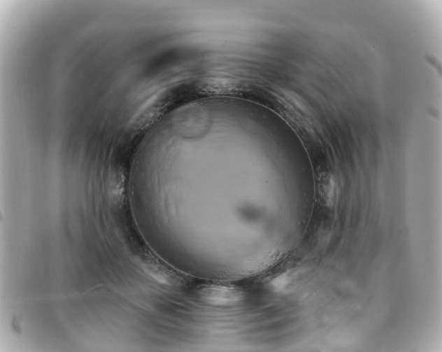 X0000094420507200711081139
