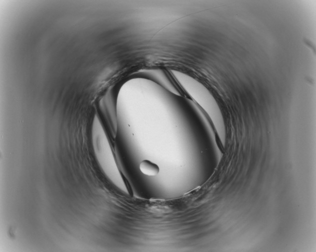 X0000094420508200711081139