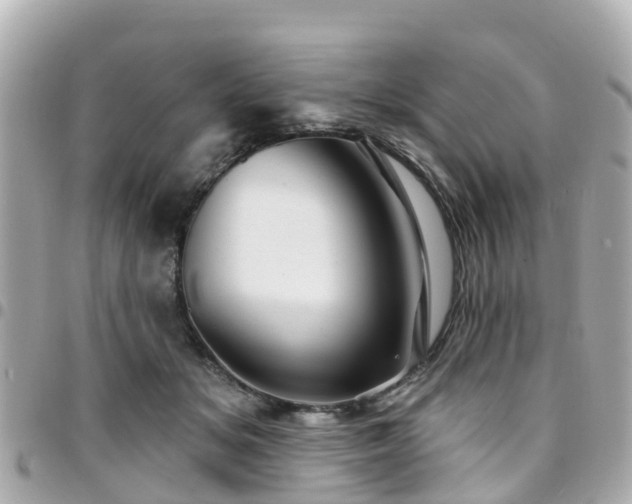 X0000094420509200711081139