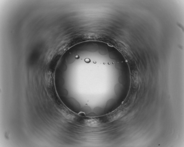 X0000094420511200711081139