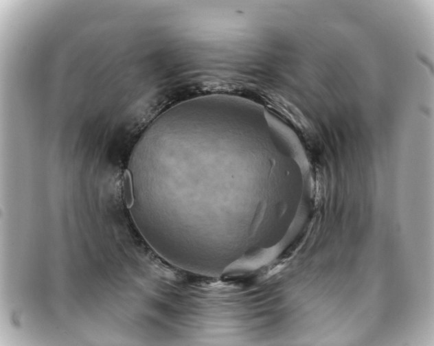 X0000094420513200711081139