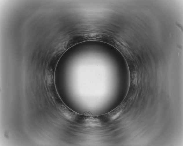 X0000094420515200711081139