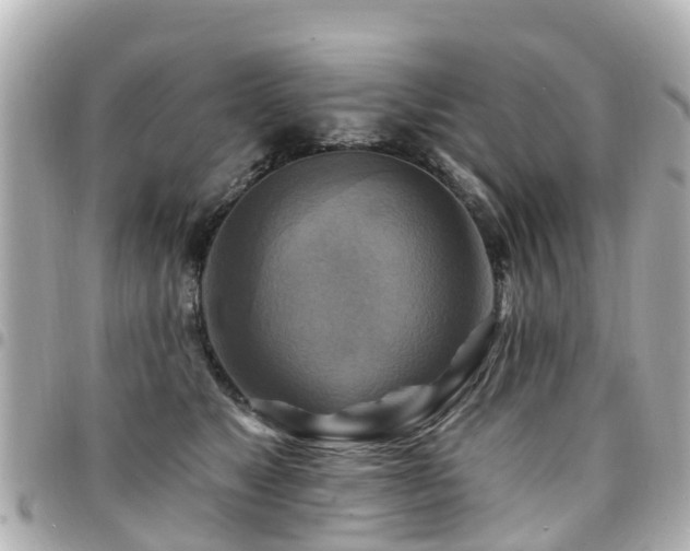 X0000094420517200711081139