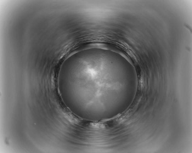 X0000094420520200711081139