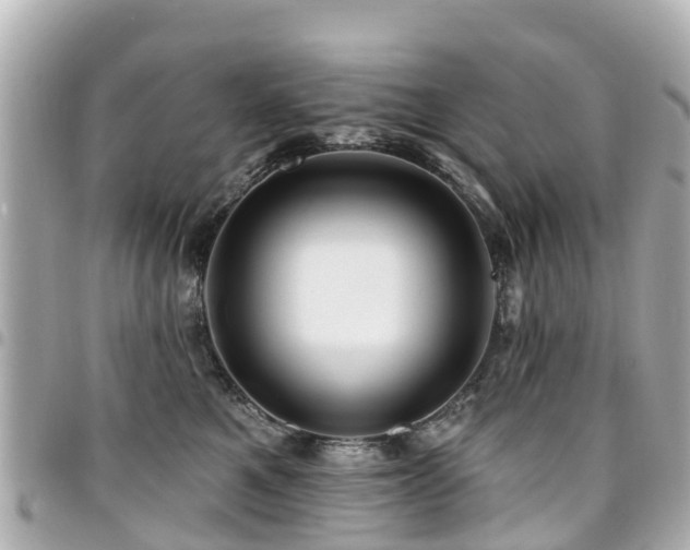 X0000094420521200711081139