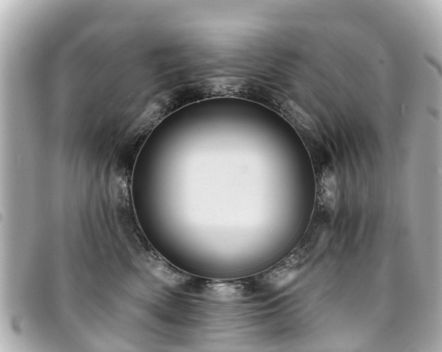 X0000094420522200711081139