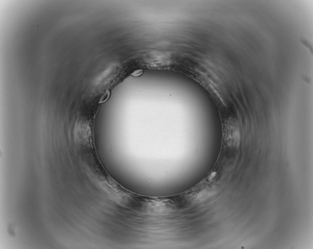 X0000094420523200711081139