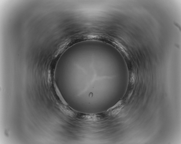 X0000094420524200711081139