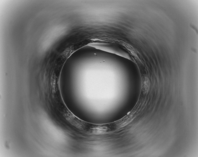 X0000094420525200711081139