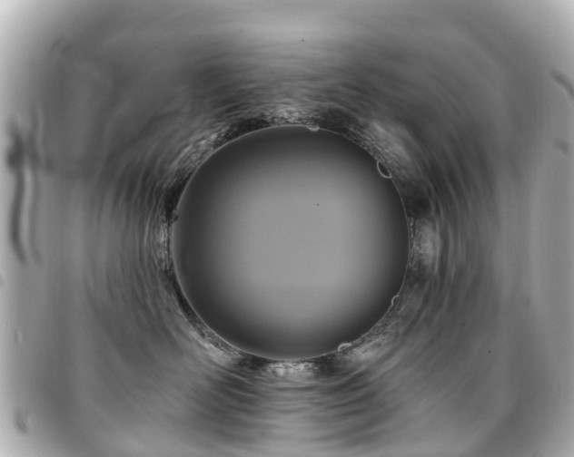 X0000094420526200711081139